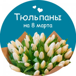 Купить тюльпаны в Омске